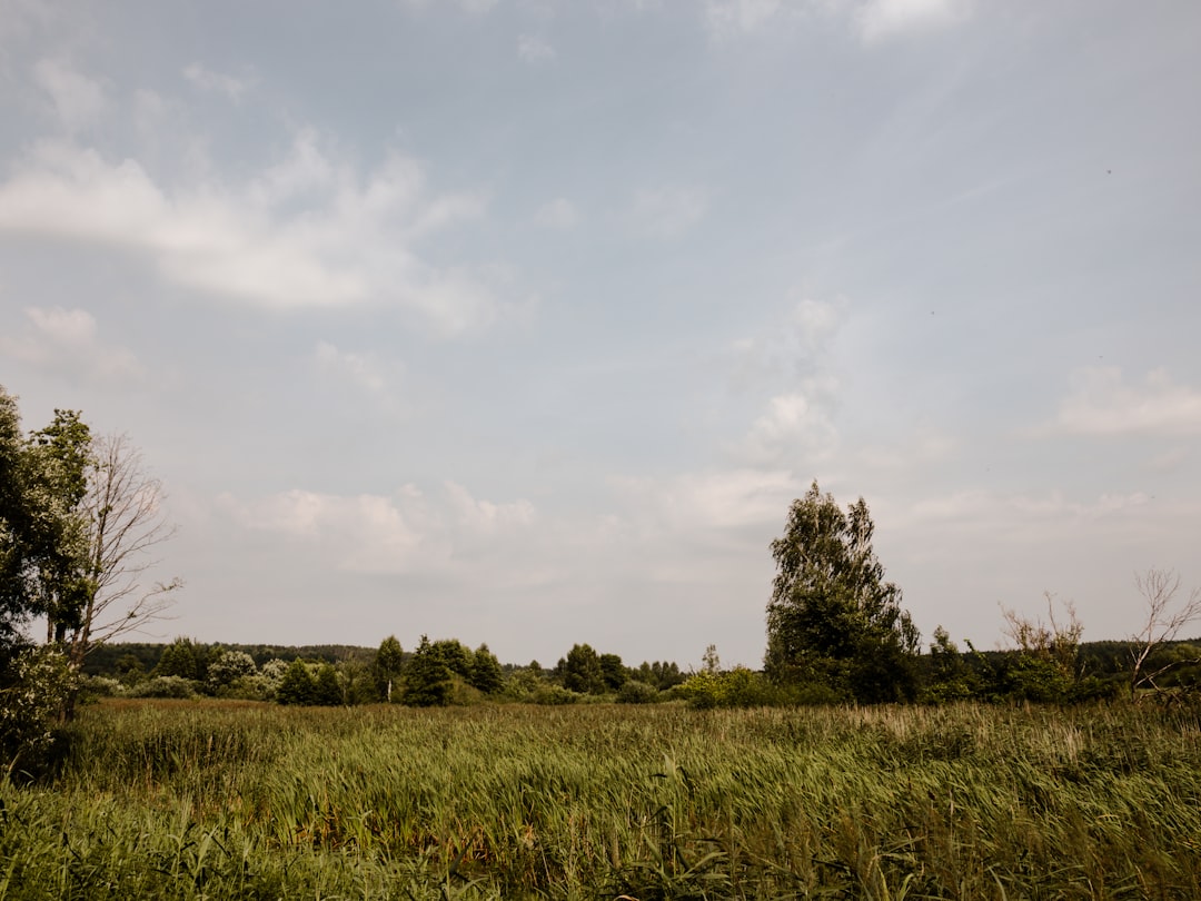 Embracing the Wild: Unconventional Camping Experiences